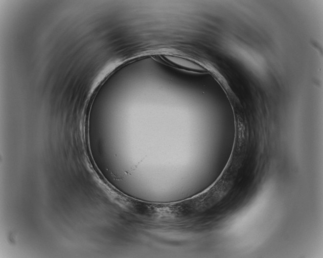 X0000096631054200802191152