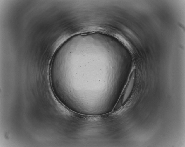 X0000096631055200802191152
