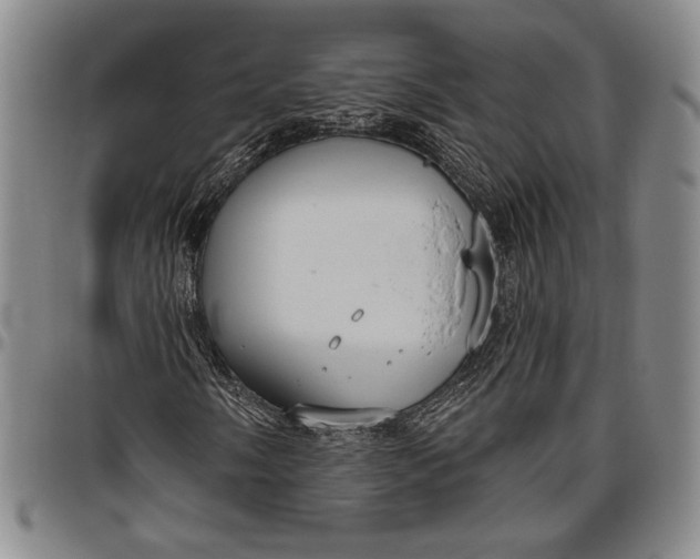 X0000096631058200802191151