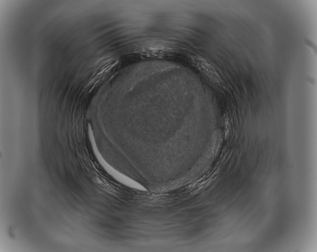 X0000096631060200802191151