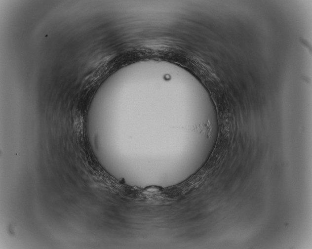 X0000096631061200802191151