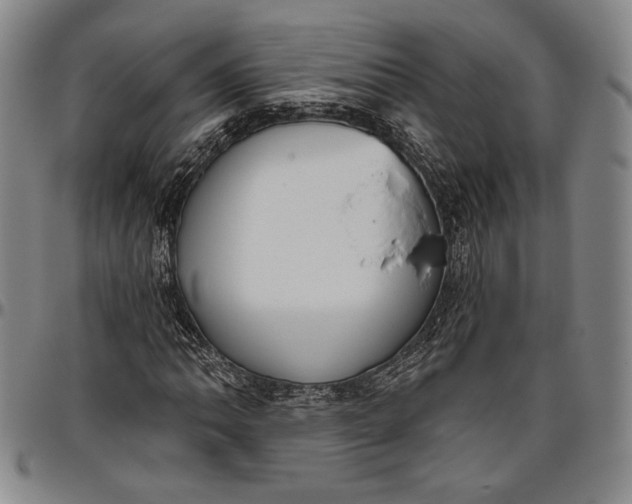 X0000096631062200802191151
