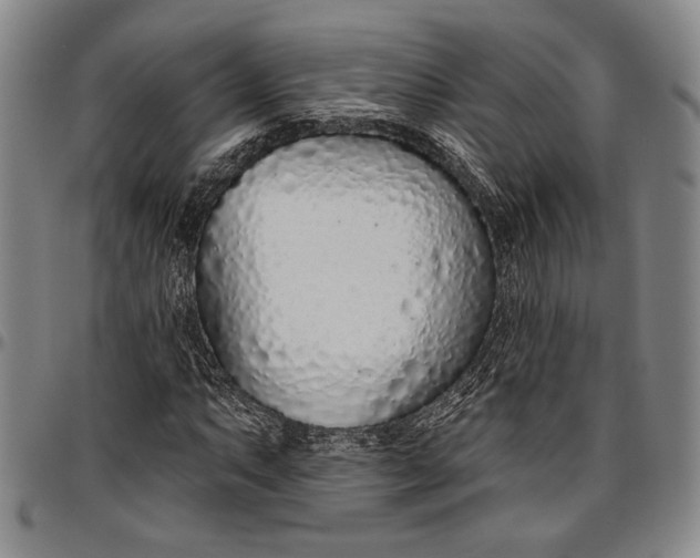 X0000096631063200802191151
