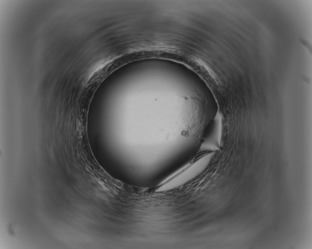 X0000096631064200802191151