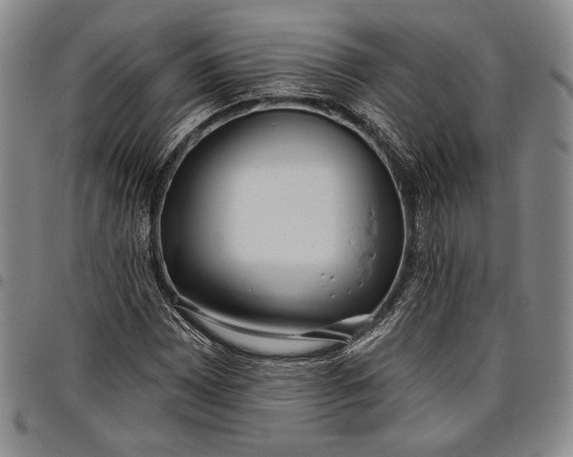 X0000096631065200802191151