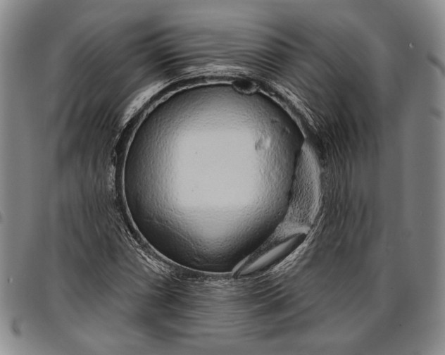 X0000096631066200802191151