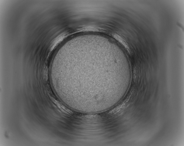X0000096631067200802191151