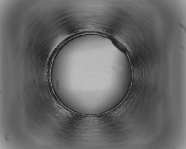 X0000096631068200802191151