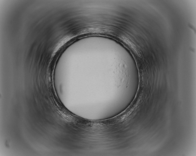 X0000096631070200802191151