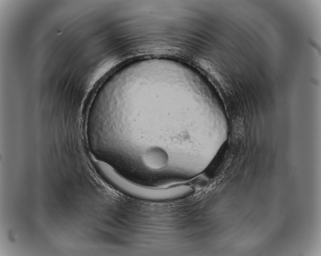X0000096631071200802191151