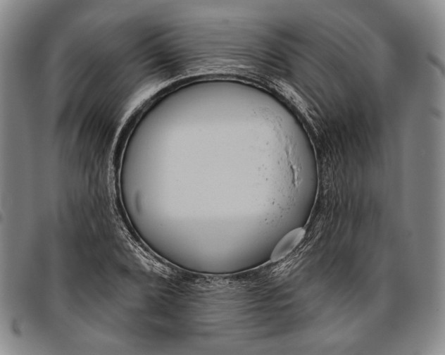 X0000096631072200802191151