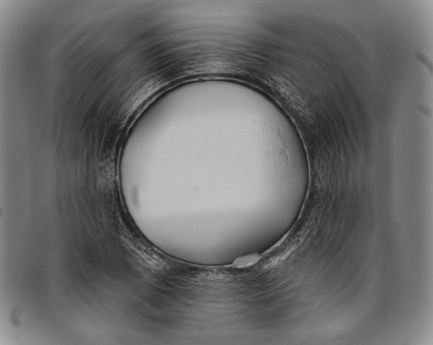 X0000096631073200802191151
