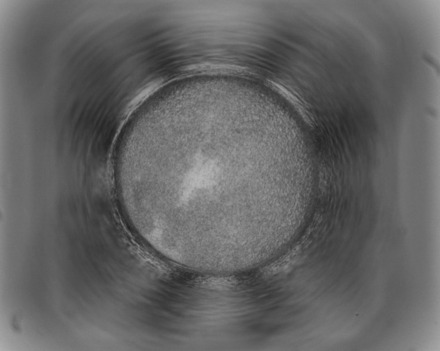 X0000096631074200802191151