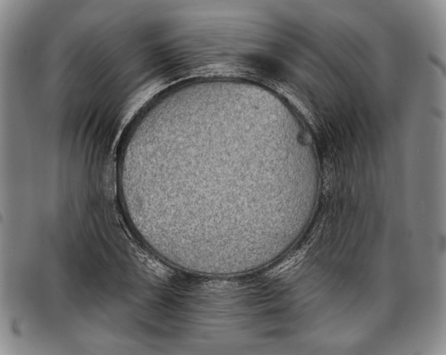 X0000096631075200802191151