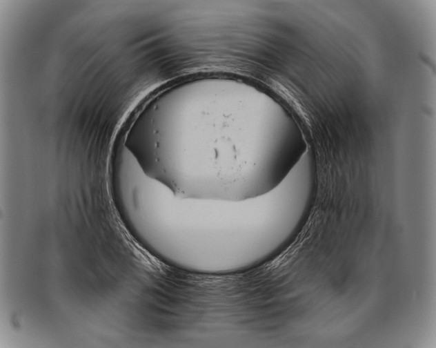 X0000096631076200802191151
