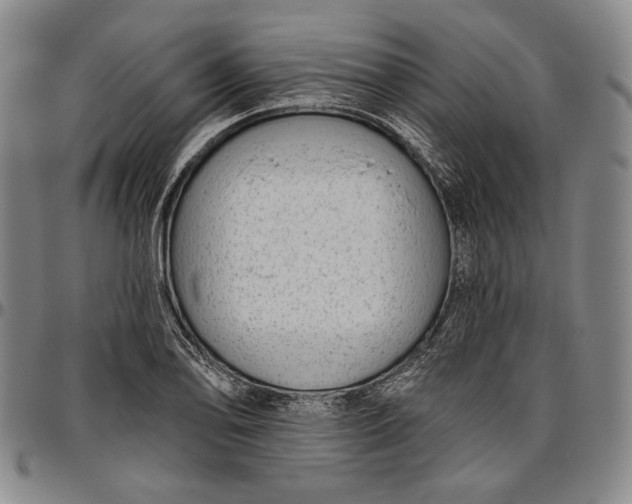 X0000096631078200802191151
