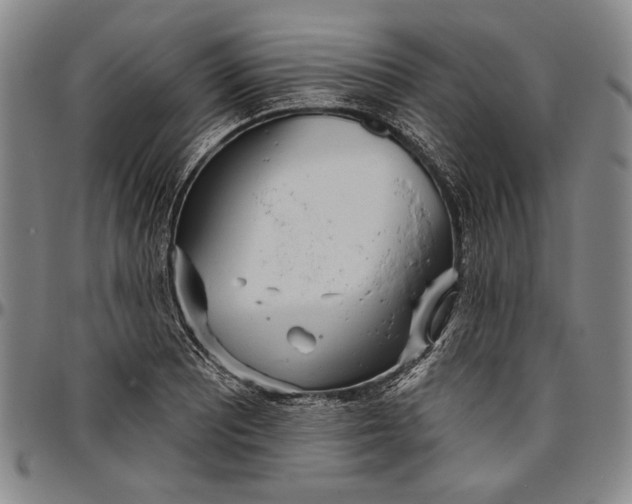 X0000096631081200802191151
