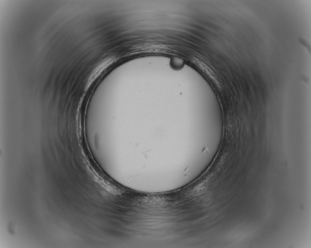 X0000096631082200802191151