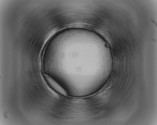 X0000096631083200802191151