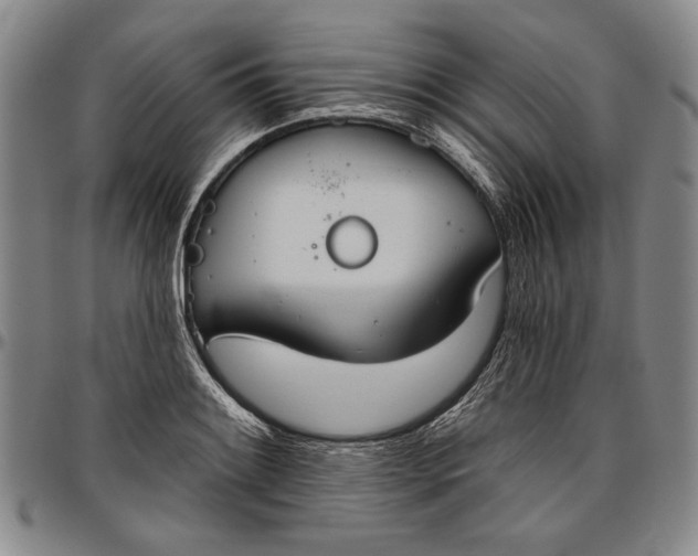 X0000096631084200802191151