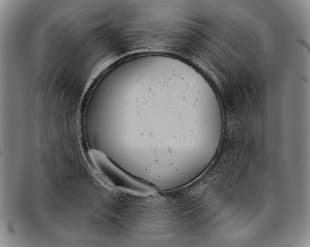 X0000096631085200802191151