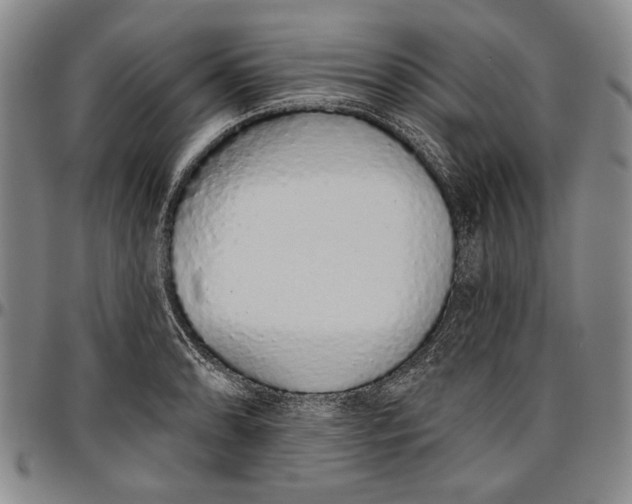 X0000096631086200802191151