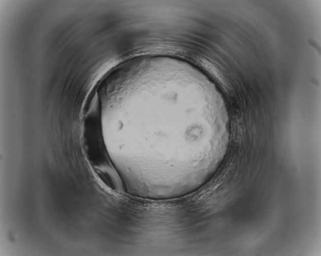 X0000096631087200802191151