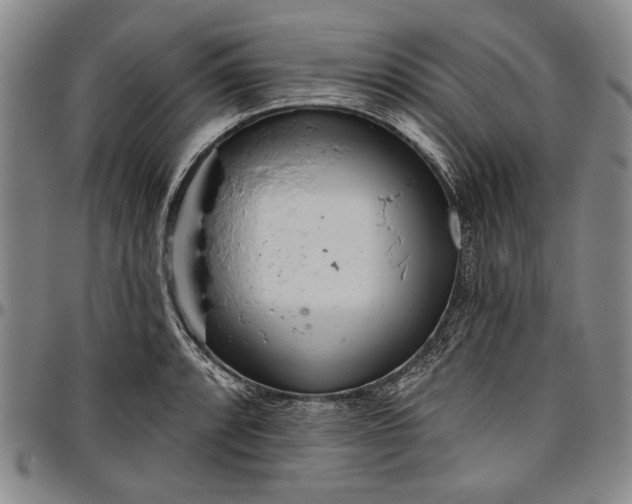X0000096631088200802191151