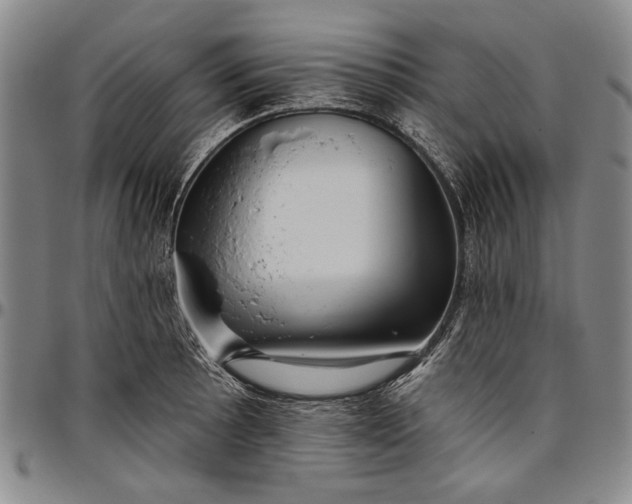 X0000096631089200802191151