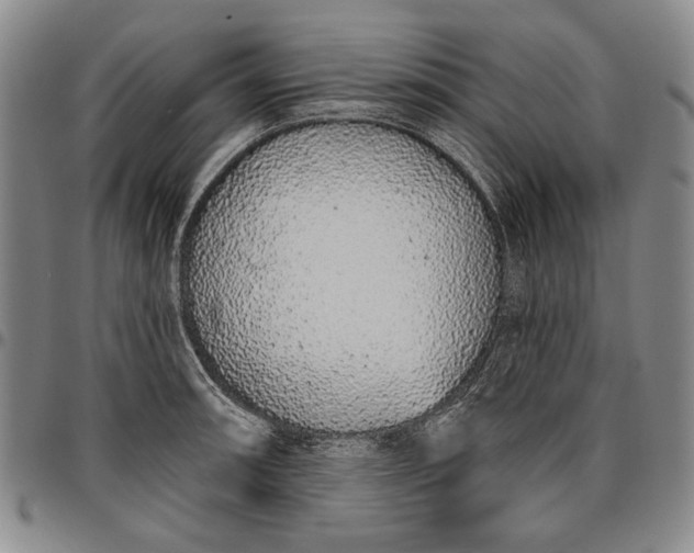 X0000096631090200802191150