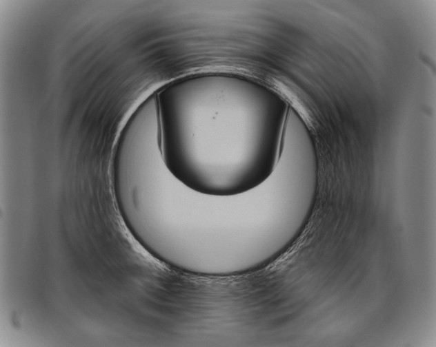 X0000096631092200802191150