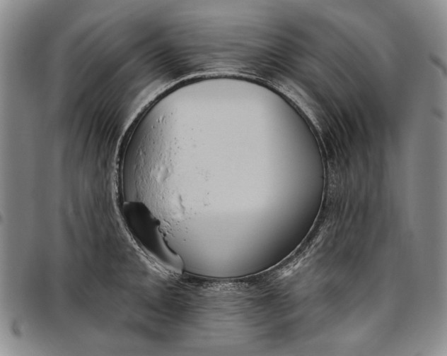 X0000096631093200802191150