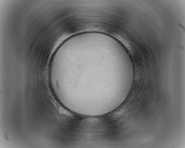 X0000096631094200802191150