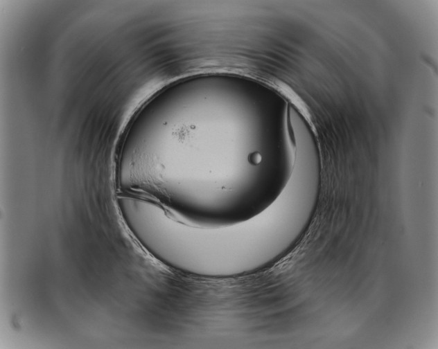 X0000096631096200802191150