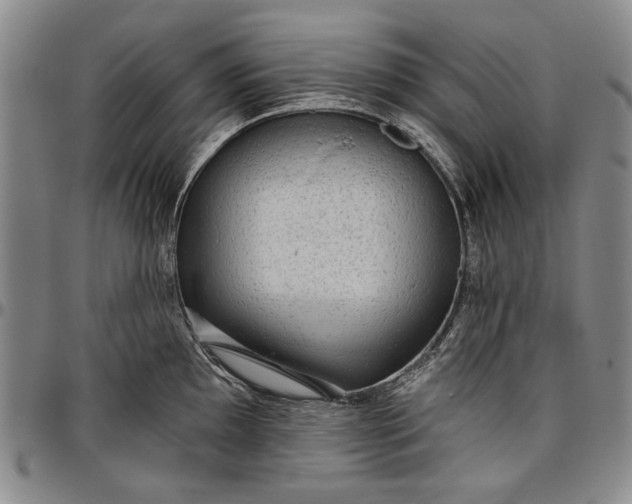 X0000096631097200802191150