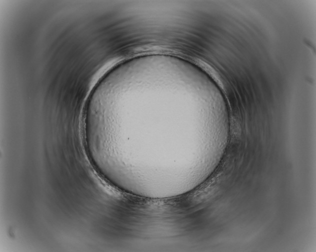 X0000096631098200802191150