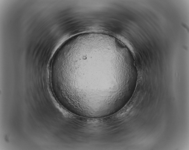 X0000096631099200802191150