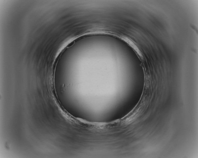 X0000096631101200802191150