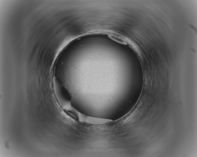 X0000096631102200802191150