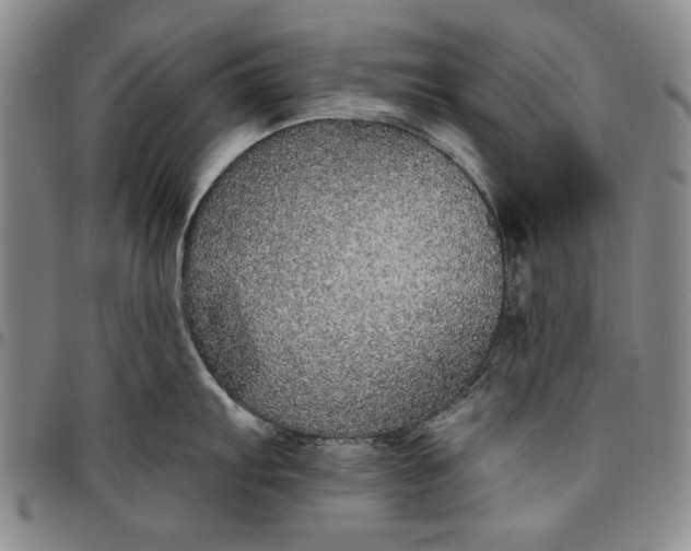 X0000096631103200802191150