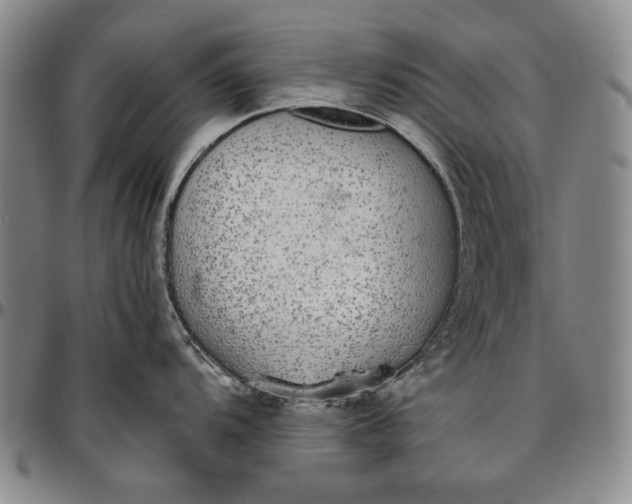 X0000096631104200802191150