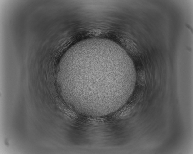X0000096631105200802191150