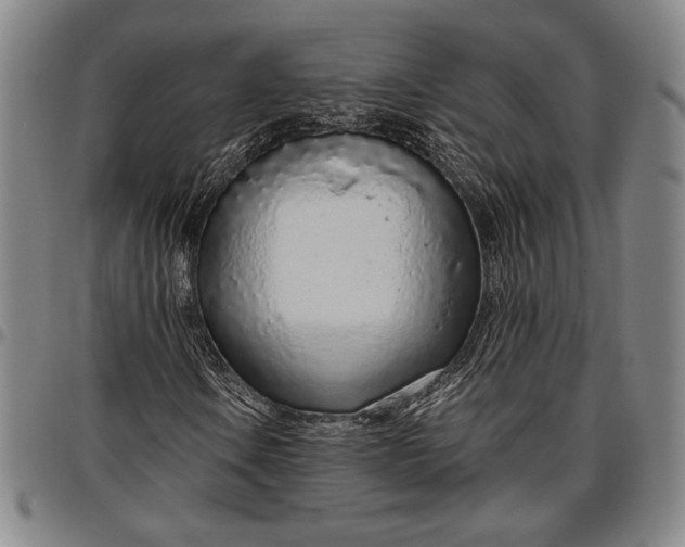 X0000096631106200802191150