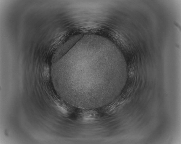 X0000096631108200802191150