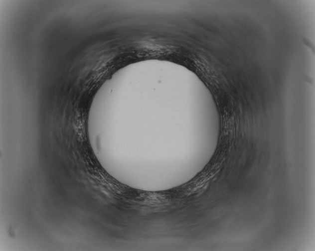 X0000096631109200802191150