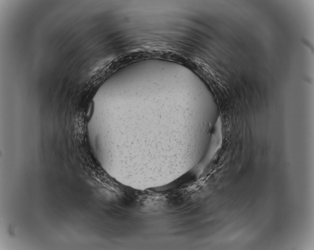 X0000096631110200802191150