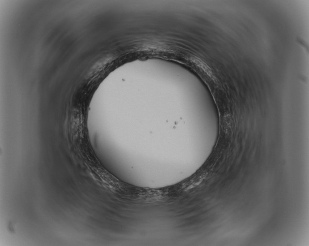 X0000096631111200802191150