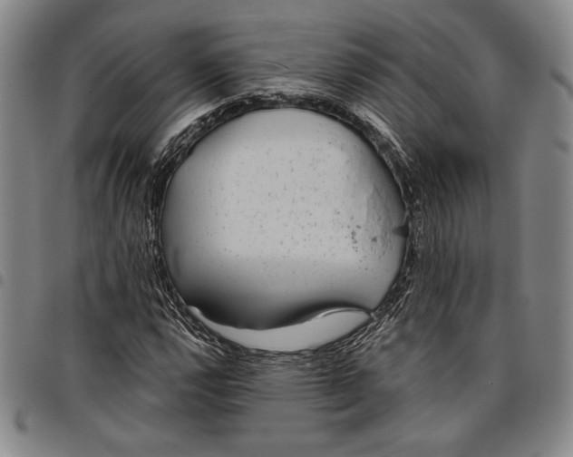 X0000096631112200802191150