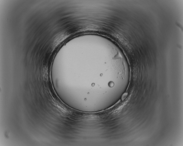 X0000096631113200802191150
