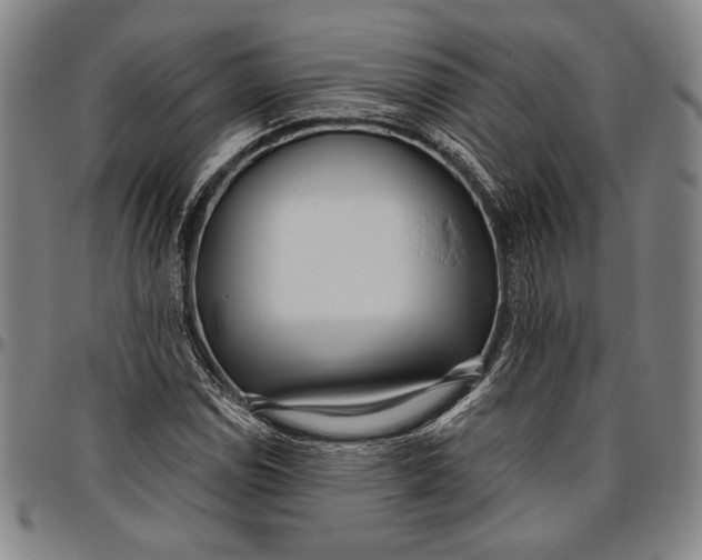 X0000096631114200802191150